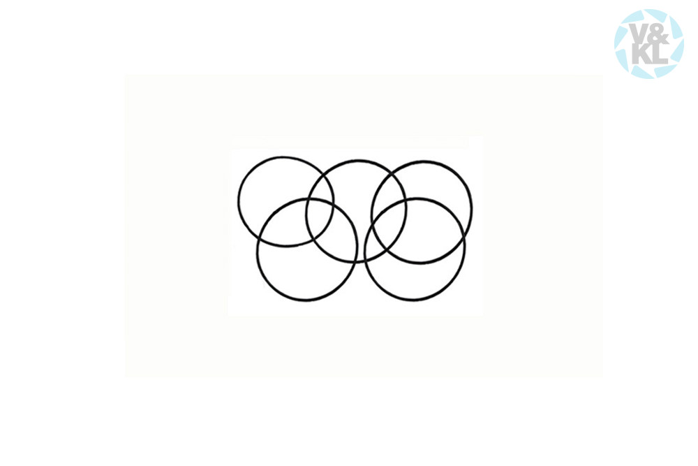 BienAir o-ring 705.02.58, 12,5x0,40 mm