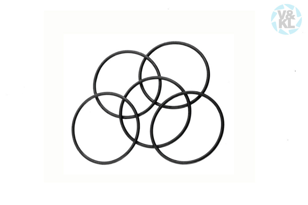 BienAir o-ring 705.01.74, 20x1 mm