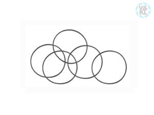 BienAir o-ring 705.02.66, 17x0,5 mm