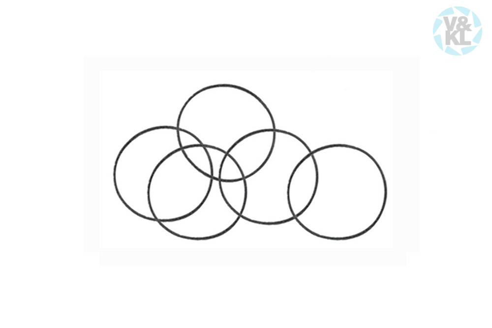 BienAir o-ring 705.02.66, 17x0,5 mm