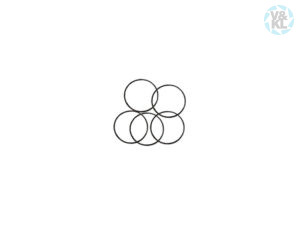 BienAir o-ring 705.02.67, 7,4x0,25 mm