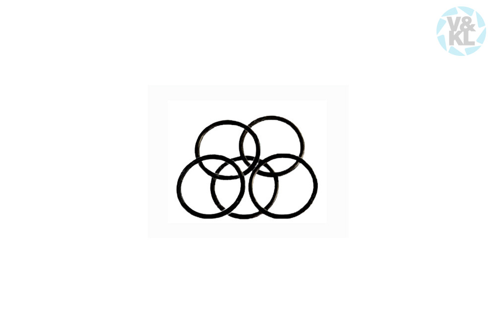 BienAir o-ring 1300967, 8,10x0,73 mm