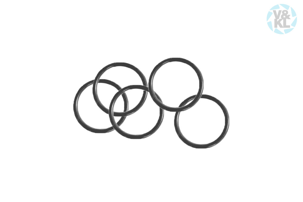 O-Ring W&H 03006100