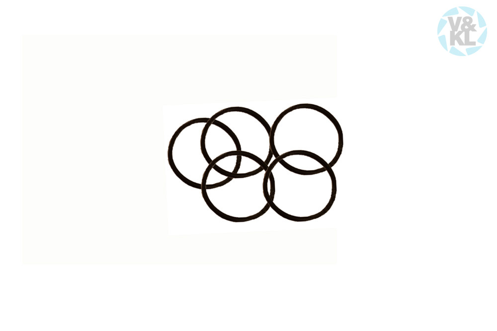 O-Ring W&H 04817200