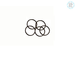 O-Ring W&H 06812900