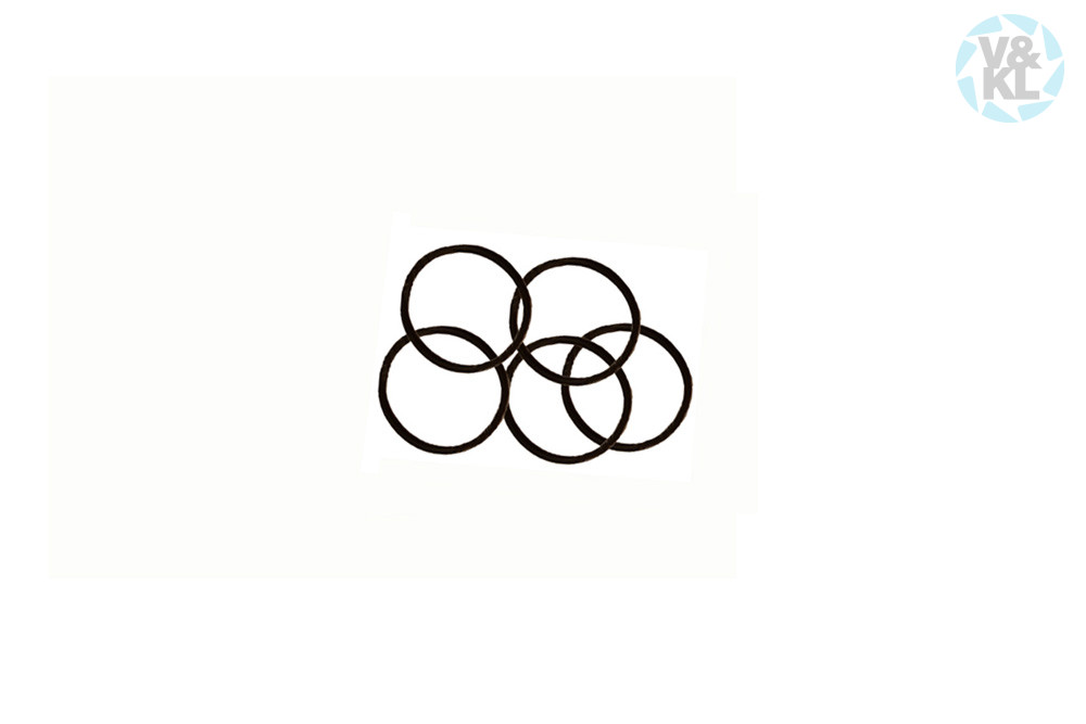 O-Ring W&H 06812900