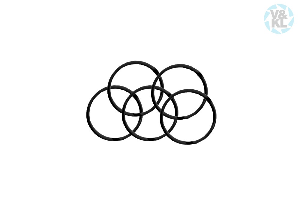 O-Ring W&H 3816700