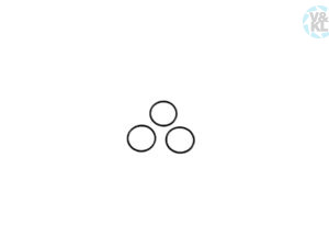O-Ring W&H SET 02695700