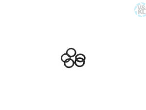 O-Ring W&H 02700100